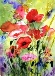 	42. Poppies by Diane Poole.JPG	